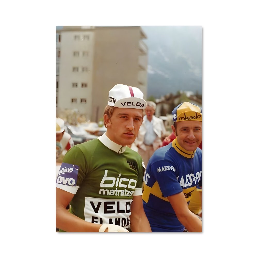 Poster Freddy maertens